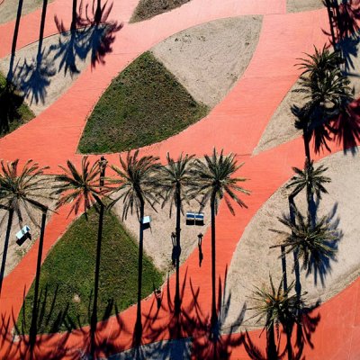 Exportación de plantas vivas de España a Líbano: