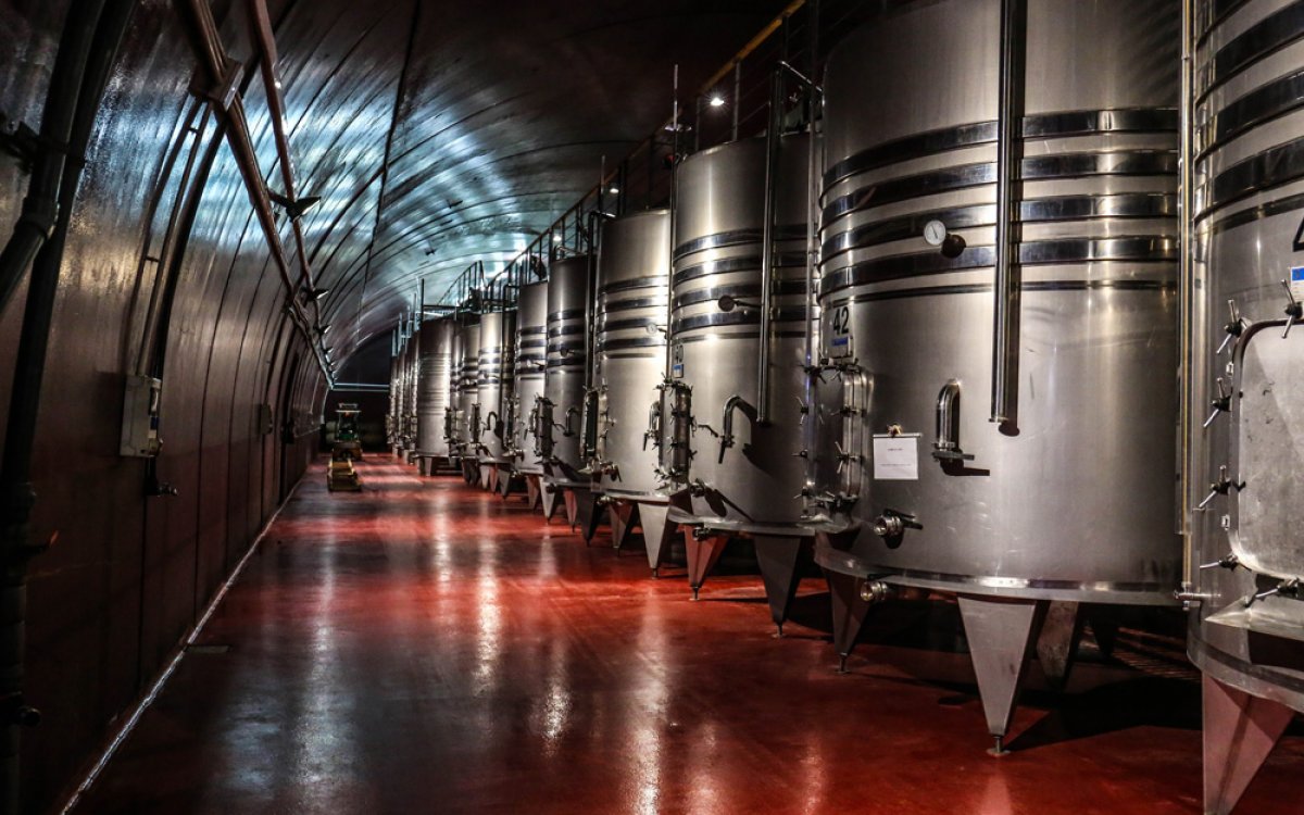 Visita comercial a una bodega importante en St. Sadurní d'Anoia, España: