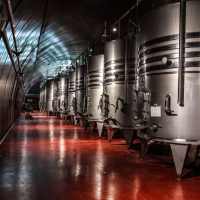 Visita comercial a una bodega importante en St. Sadurní d'Anoia, España: